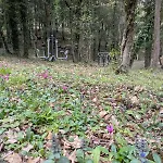 Il Casale - Tenuta Le Bruscoline *
